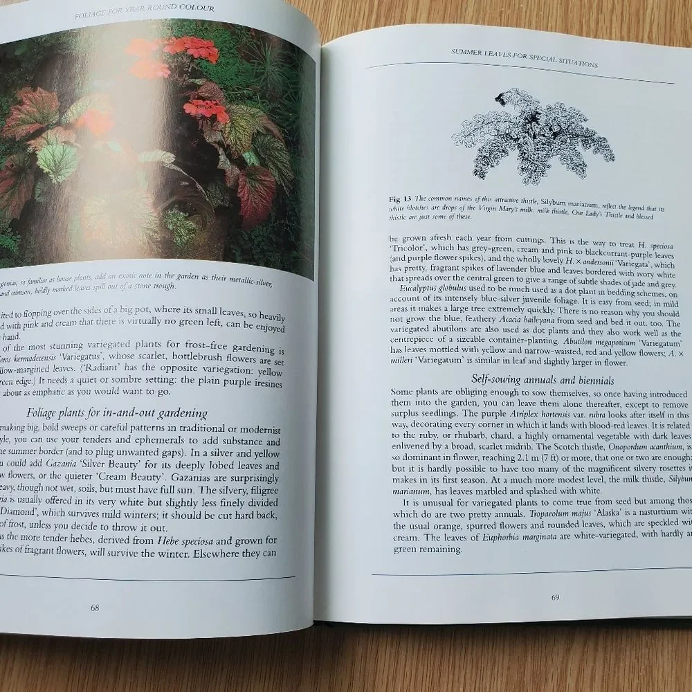 Vintage Foliage for Year Round Colour Hardcover Coffee Table Decor‎ Book